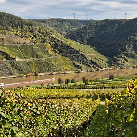 Weingut Mathy-Schanz Osann-Monzel Екстер'єр фото