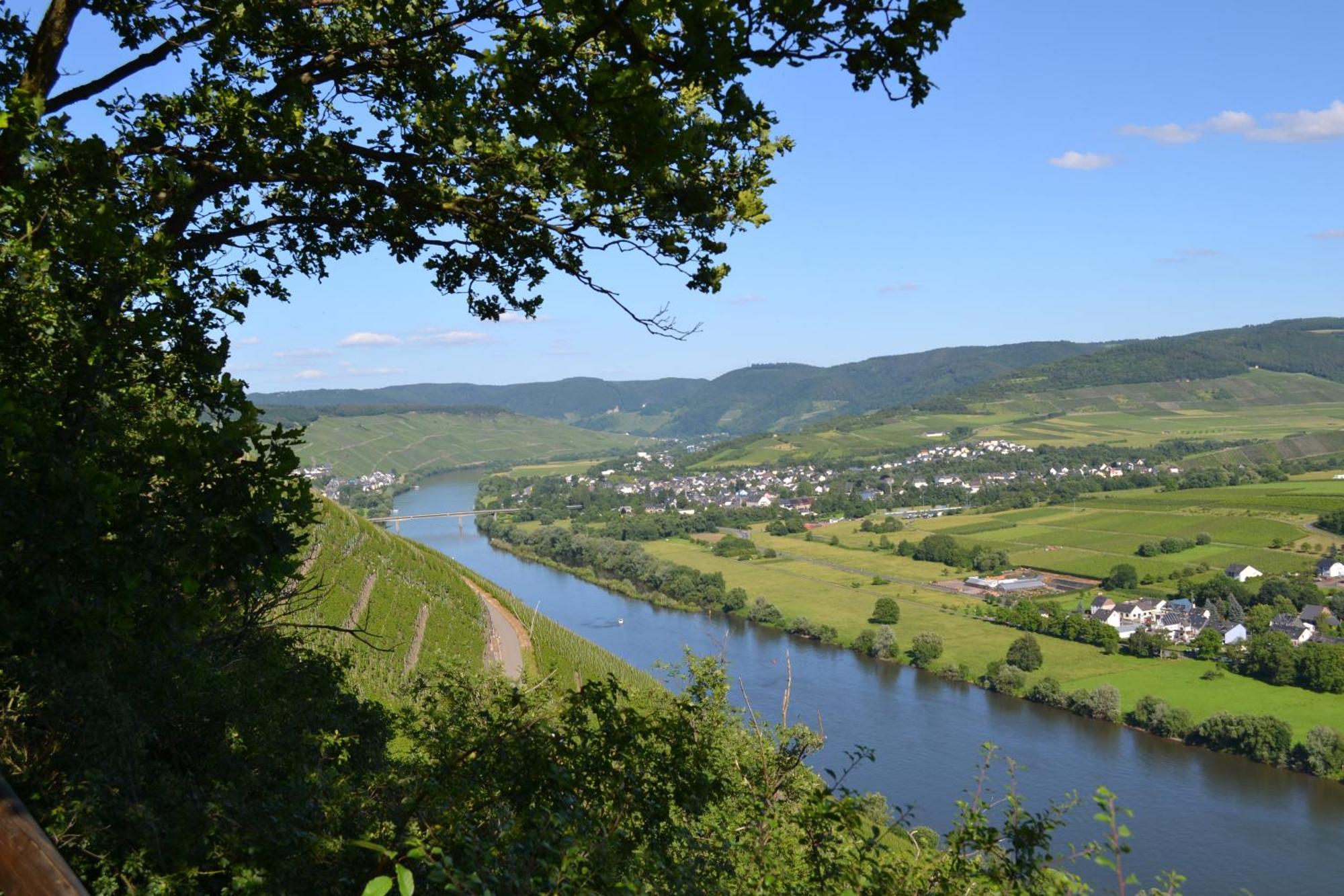 Weingut Mathy-Schanz Osann-Monzel Екстер'єр фото