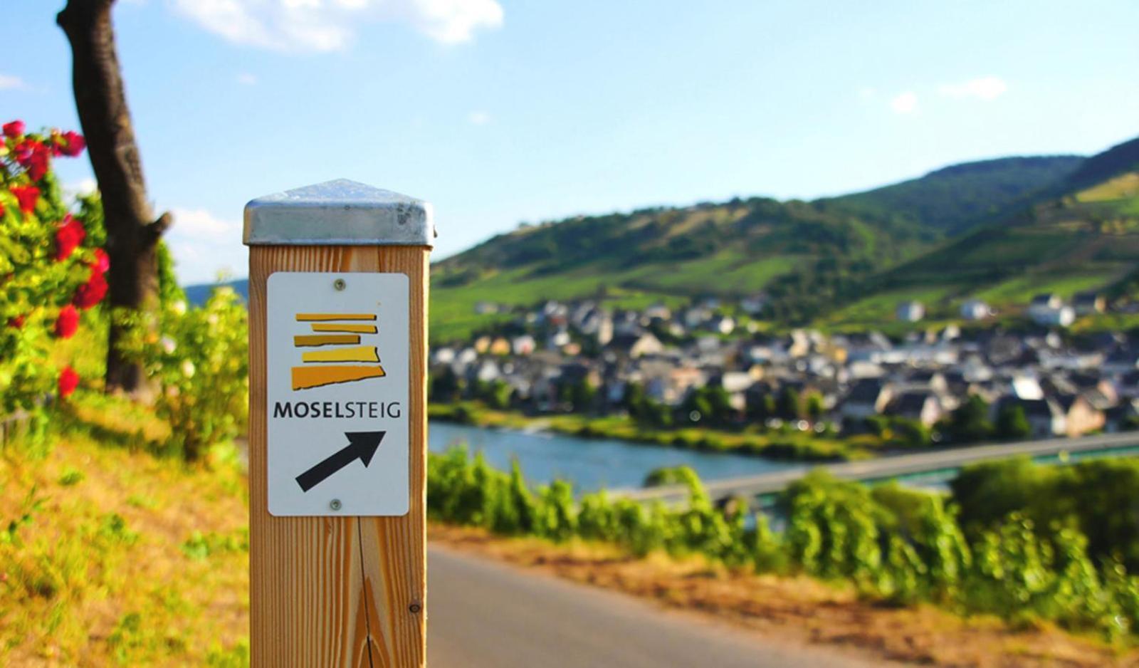 Weingut Mathy-Schanz Osann-Monzel Екстер'єр фото