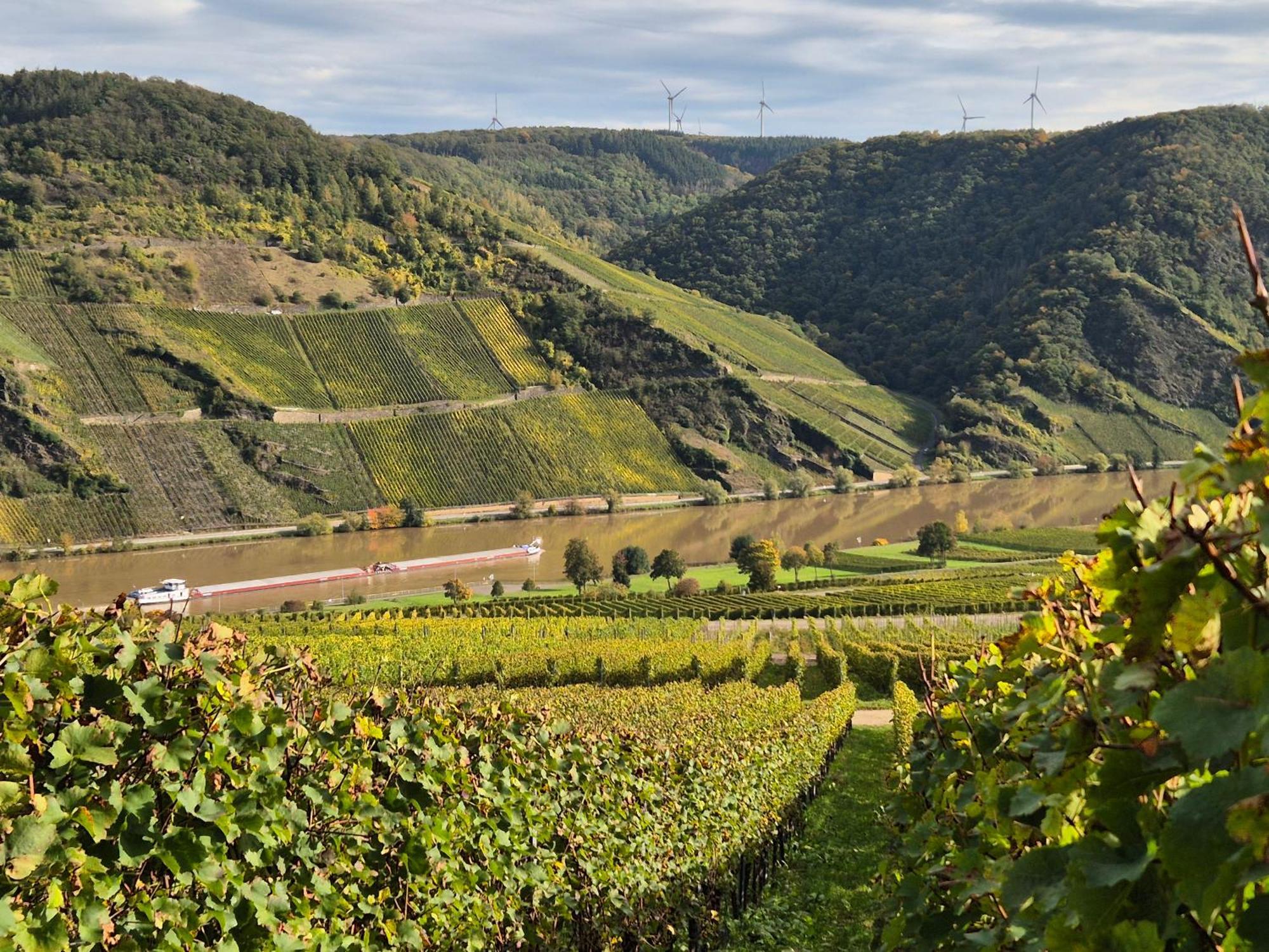 Weingut Mathy-Schanz Osann-Monzel Екстер'єр фото
