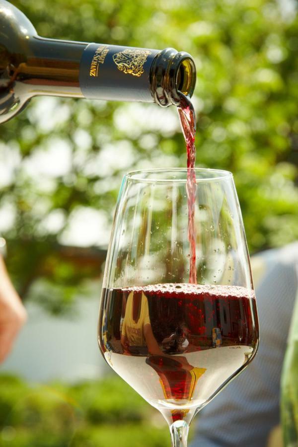 Weingut Mathy-Schanz Osann-Monzel Екстер'єр фото