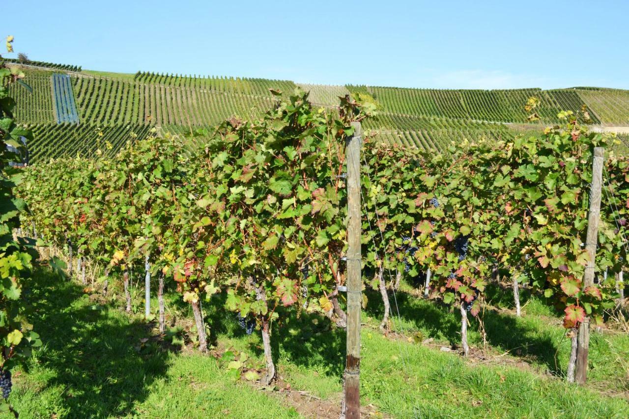 Weingut Mathy-Schanz Osann-Monzel Екстер'єр фото