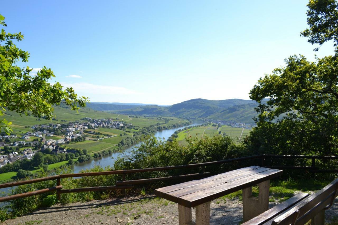 Weingut Mathy-Schanz Osann-Monzel Екстер'єр фото